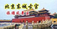 国产美女爆乳拍拍插插网站中国北京-东城古宫旅游风景区